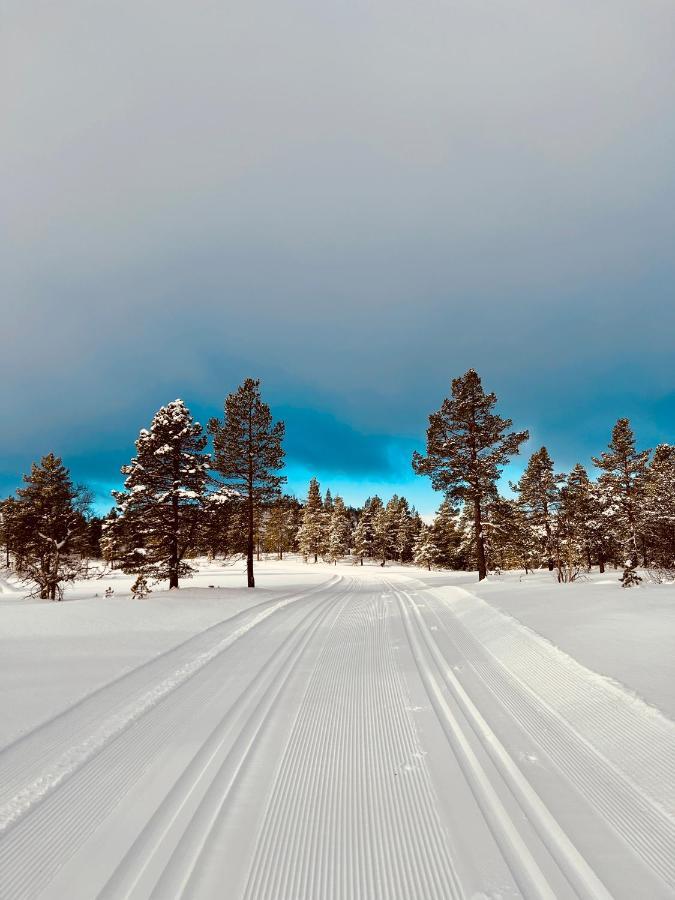 Flott Leilighet Pa Haugen I Sirdal Tjorhom Exterior foto